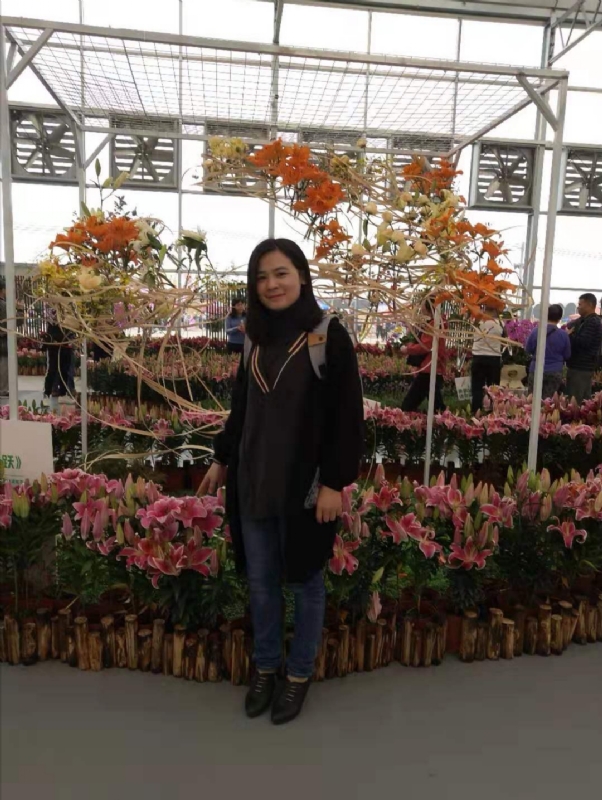 紫苏的第一张照片--南京相亲服务中心