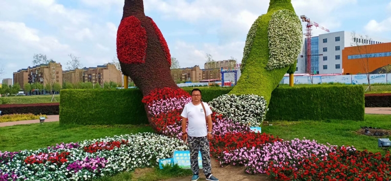 尘埃的第一张照片--南京相亲服务中心