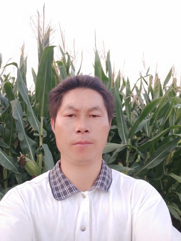 四海游龙的第二张照片--南京相亲服务中心