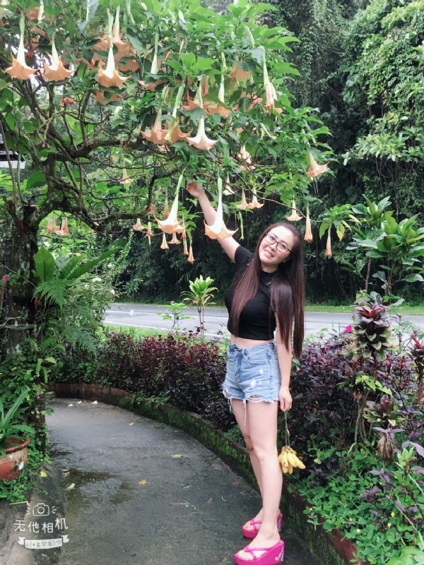 离异单身无子的第二张照片--南京相亲服务中心