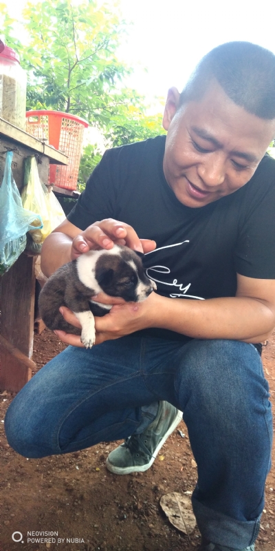 深圳相亲的第一张照片--南京相亲服务中心