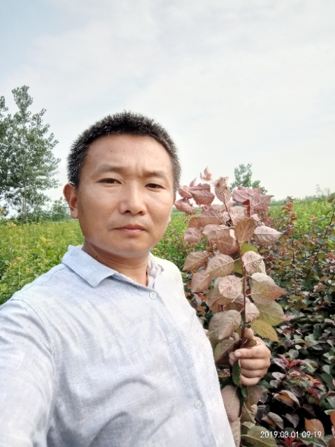 孩子爸的第一张照片--南京相亲服务中心