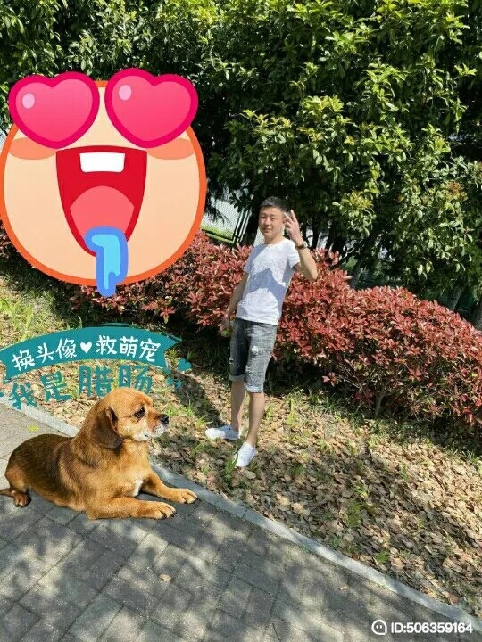 我若不坚强谁替我勇敢的第一张照片--南京相亲服务中心