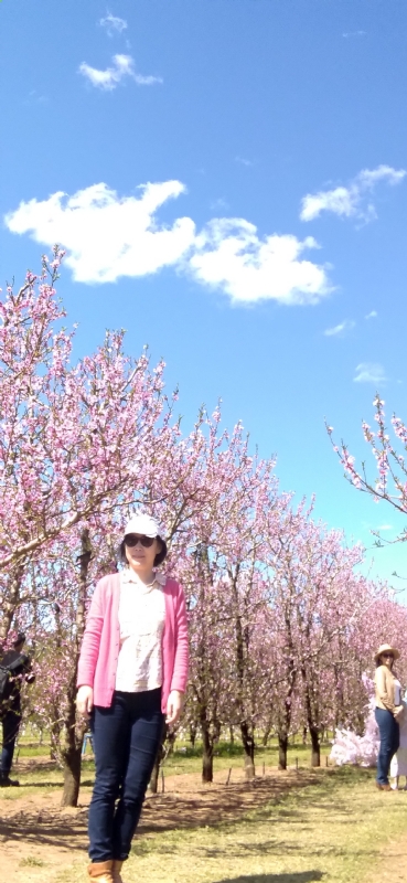 Grace的第二张照片--南京相亲服务中心