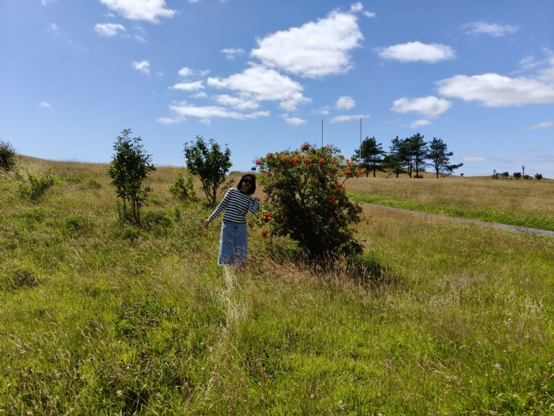 秋蝉的第一张照片--南京相亲服务中心