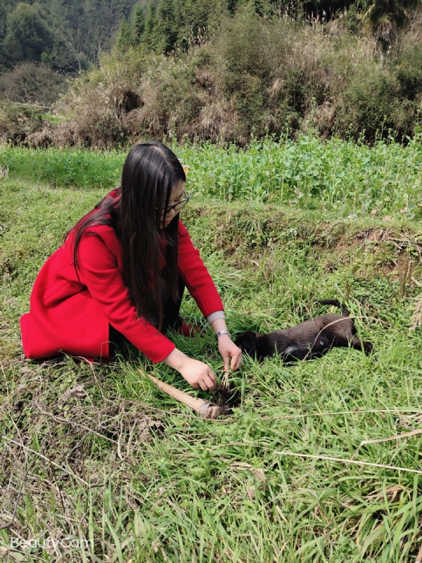 下一个春和秋的第一张照片--南京相亲服务中心