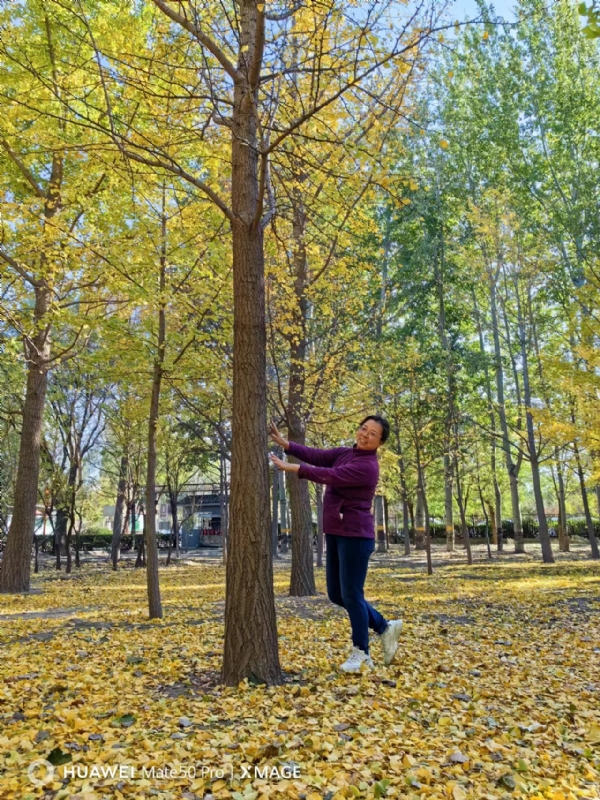 Shirley的第二张照片--南京相亲服务中心