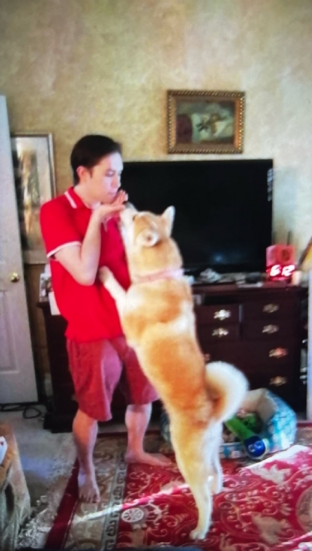 Leluch的第一张照片--南京相亲服务中心