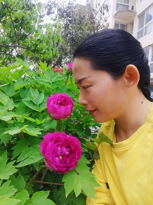 厚德载物的第一张照片--南京相亲服务中心