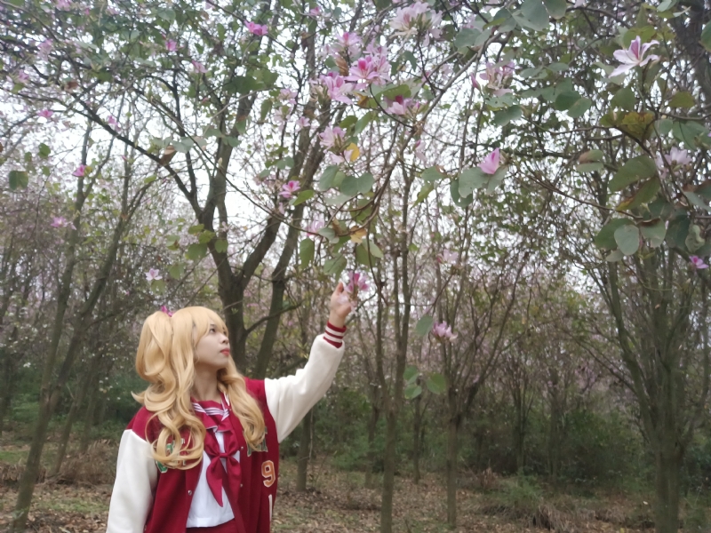 暮秋的第一张照片--南京相亲服务中心