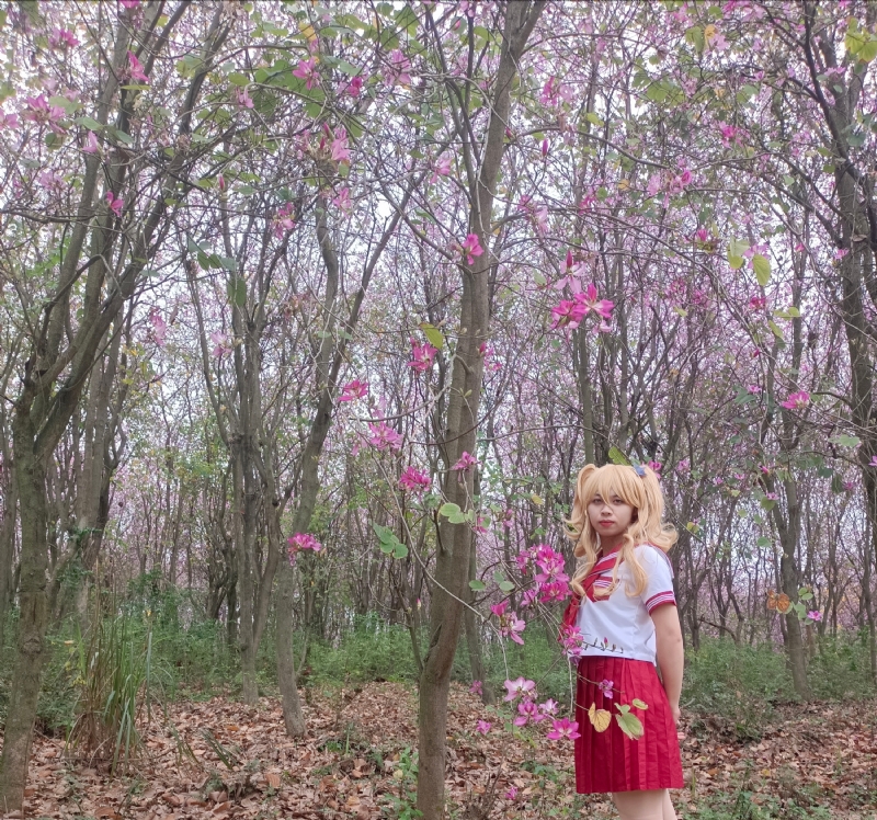 暮秋的第四张照片--南京相亲服务中心