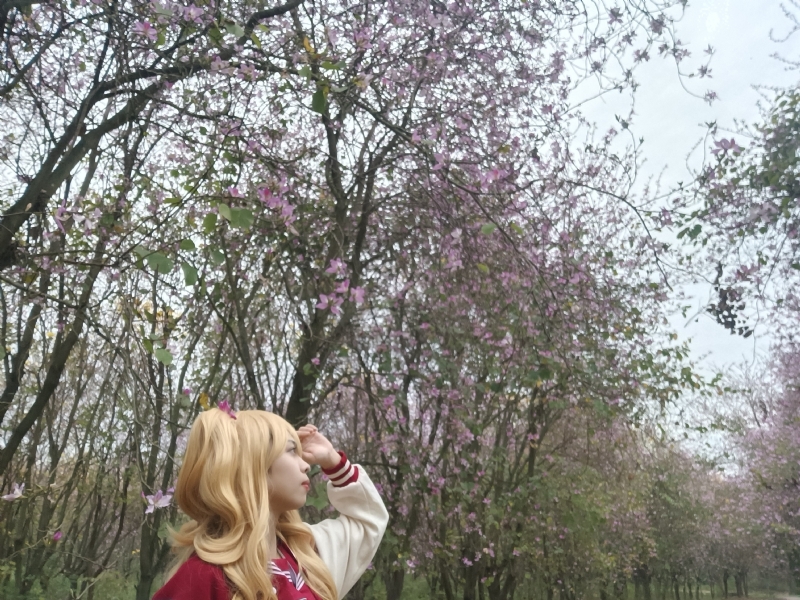 暮秋的第五张照片--南京相亲服务中心