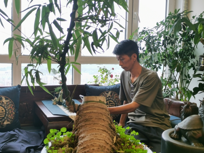 成个家的第一张照片--南京相亲服务中心