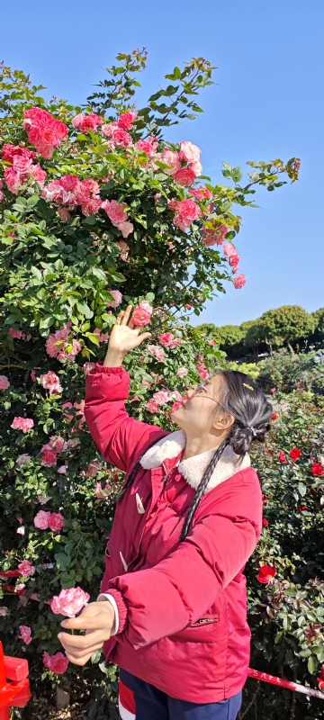 狗狗的第一张照片--南京相亲服务中心