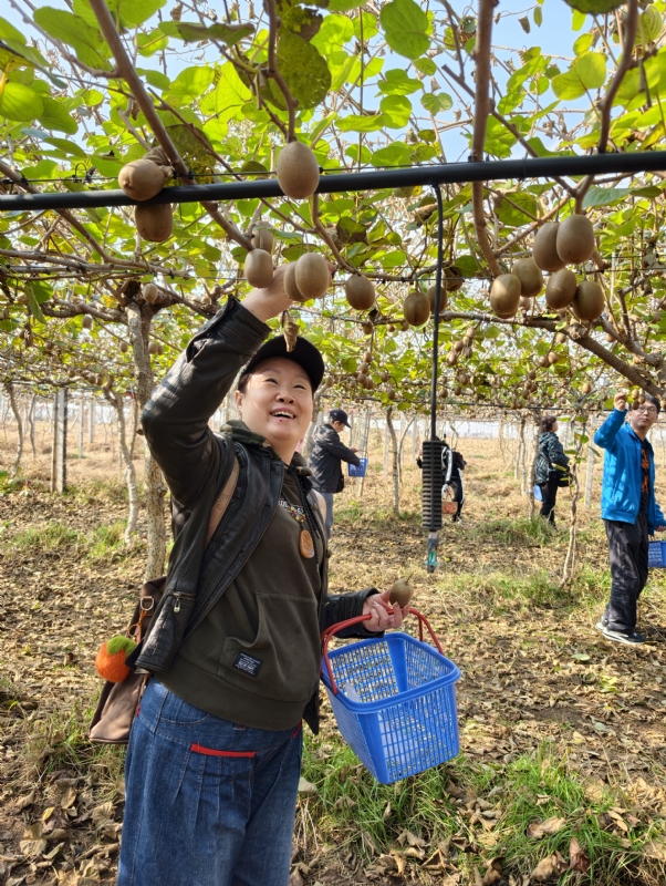 夜莺的第四张照片--南京相亲服务中心